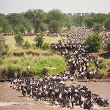 3 days Tanzania Serengeti Safari & Ngorongoro Crater