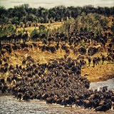 3 days Tanzania Serengeti Safari & Ngorongoro Crater