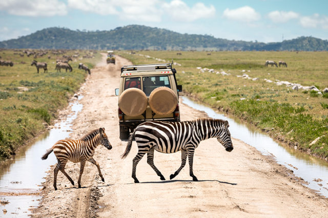 The Best of Tanzania Safari destinations
