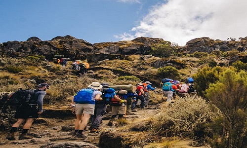 8-day Kilimanjaro climbing Lemosho route